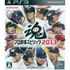Pro Yakyuu Spirits 2013 PLAYSTATION 3