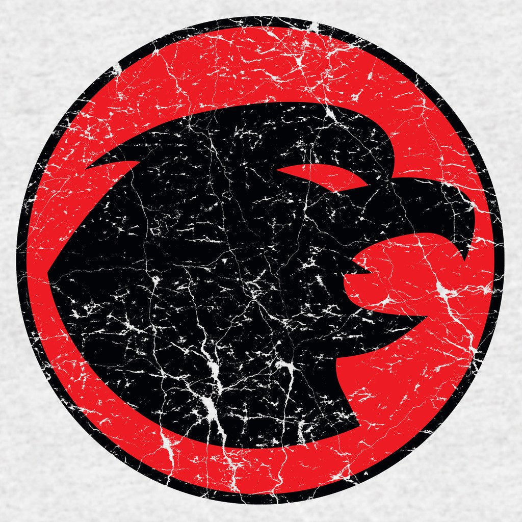 DC Comics Hawkman Distressed Logo Official Sweatshirt ()