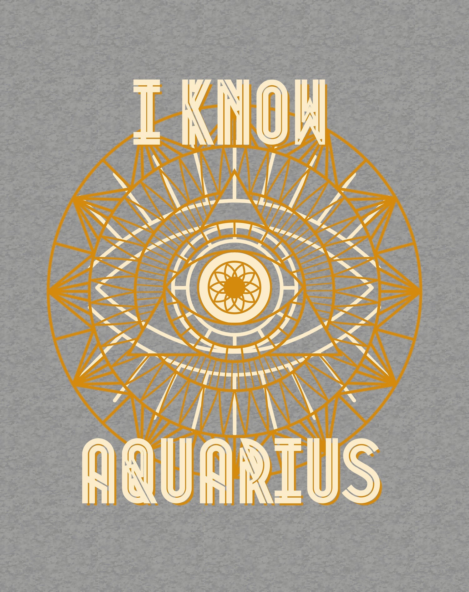UA Supreme Star Sign Aquarius Men's T-shirt (Sports Grey)