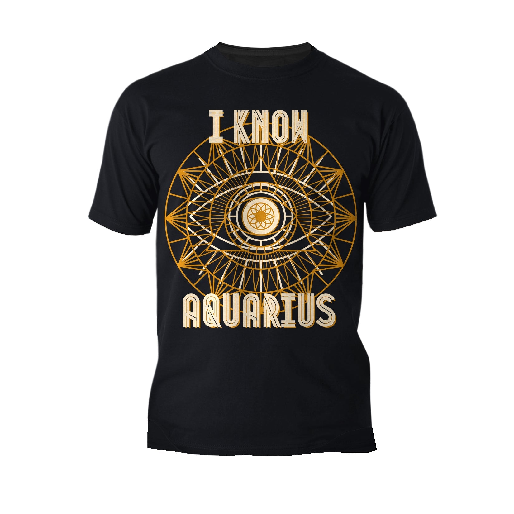 UA Supreme Star Sign Aquarius Men's T-shirt ()