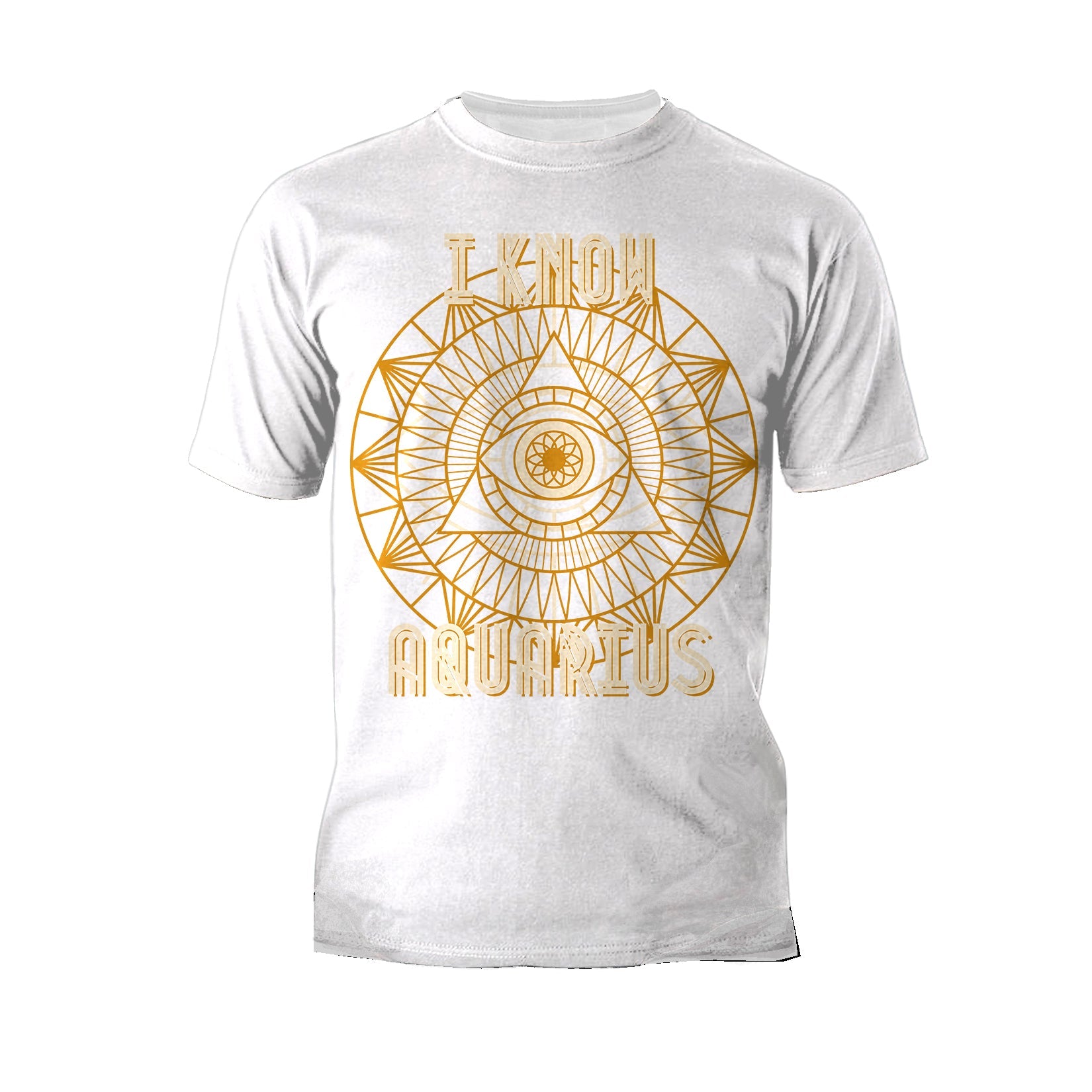 UA Supreme Star Sign Aquarius Men's T-shirt ()