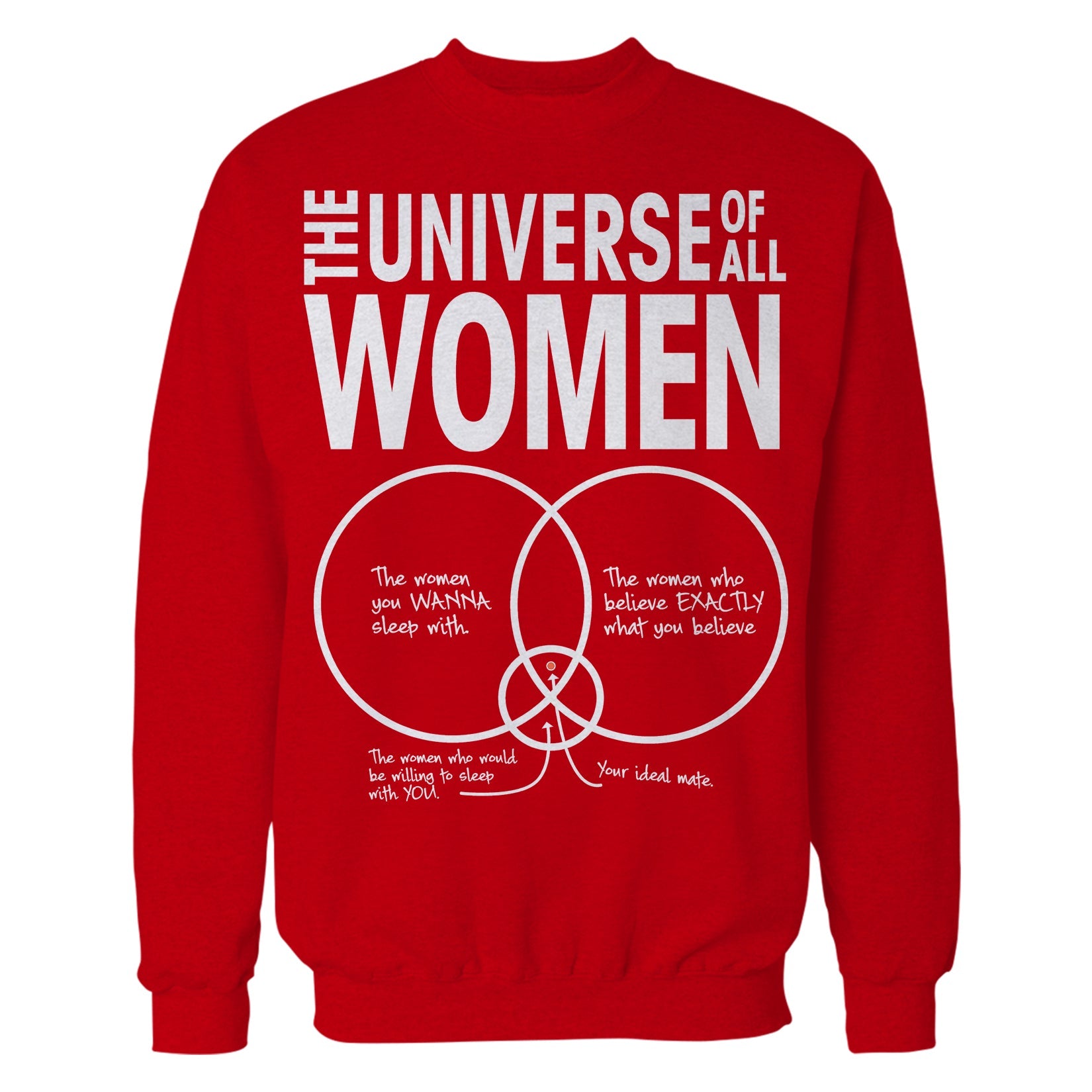 Big Bang Theory Graphic Women Universe Official Sweatshirt