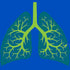 Weird Science Trees Are The Lungs Of Earth Official Men's T-shirt ()