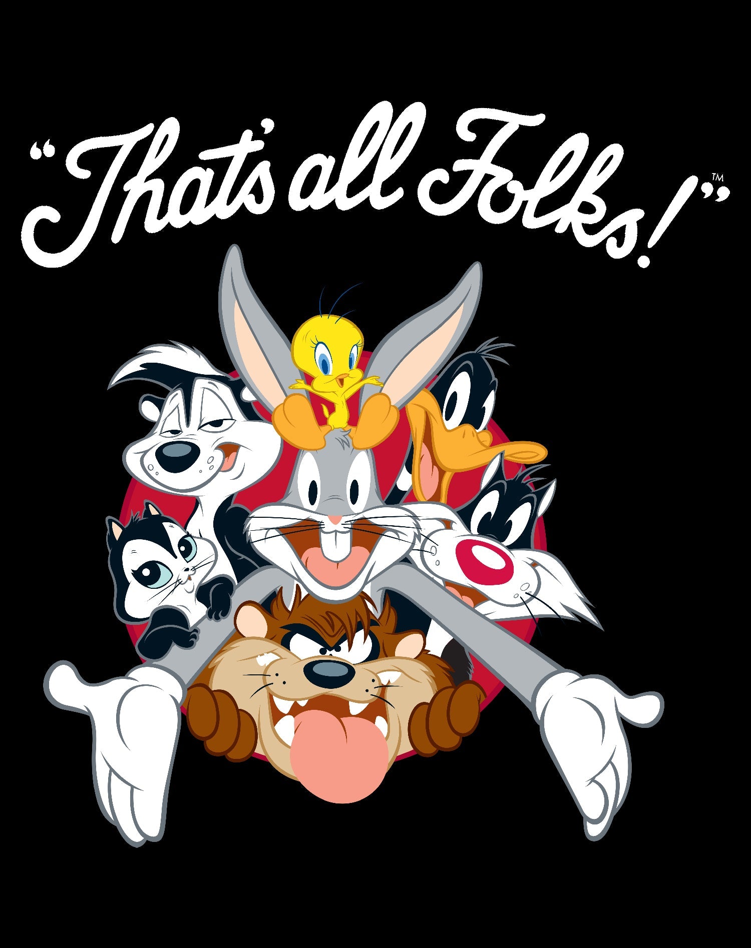 Looney Tunes All Stars That's All Folks Official Youth T-shirt