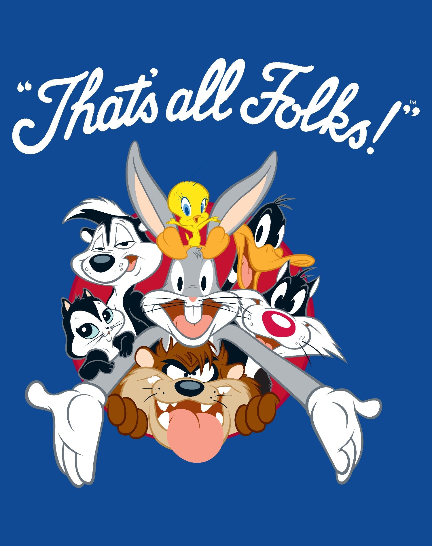 Looney Tunes All Stars That's All Folks Official Youth T-shirt