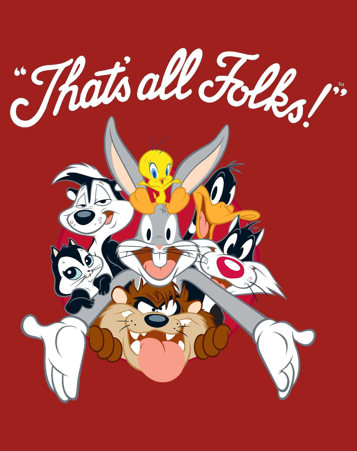 Looney Tunes All Stars That's All Folks Official Youth T-shirt