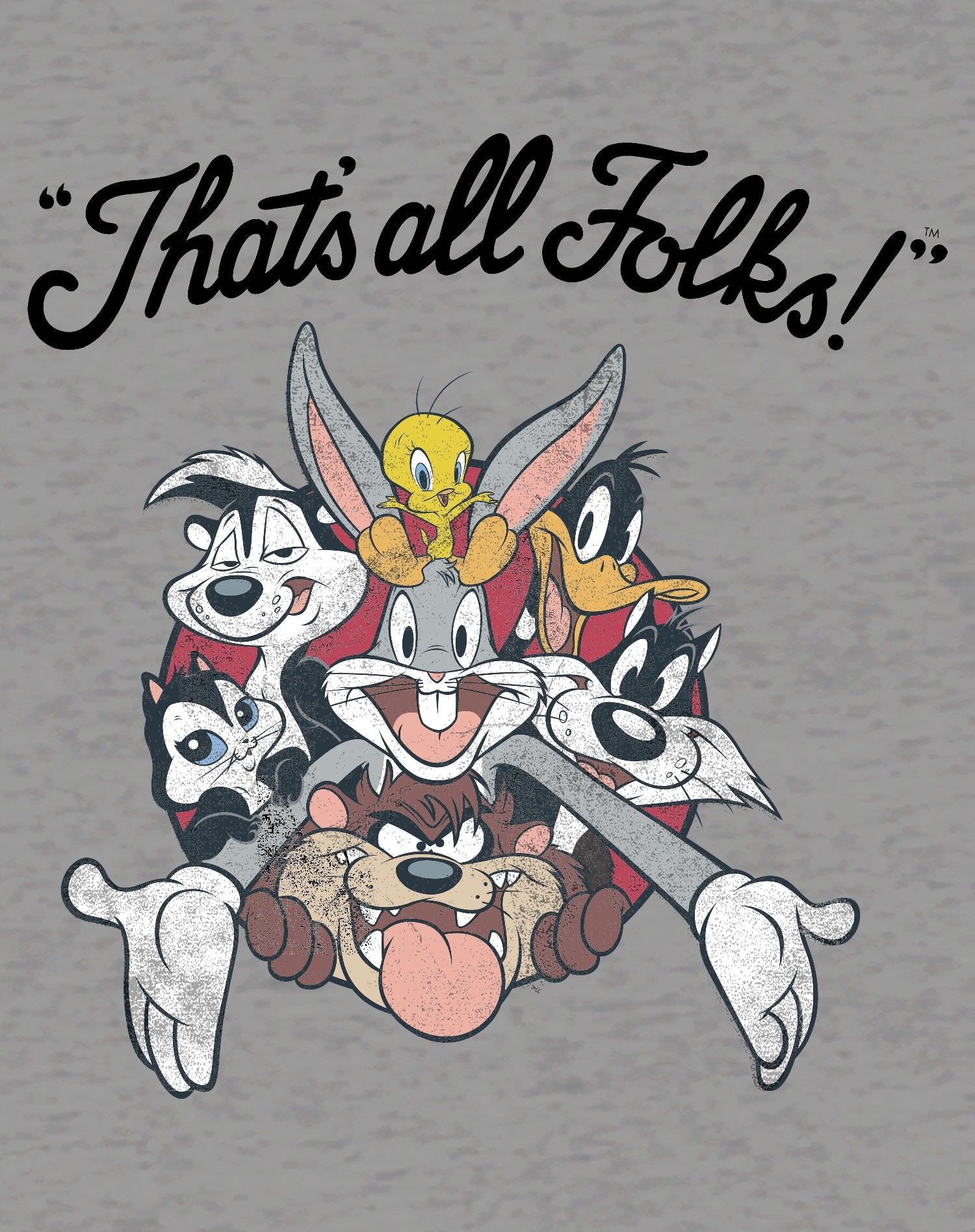 Looney Tunes All Stars That's All Folks Official Youth T-shirt