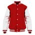 The Witcher Logo Stencil Destiny Official Varsity Jacket