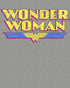 DC Comics Wonder Woman Logo Vintage Official Men's T-Shirt ()