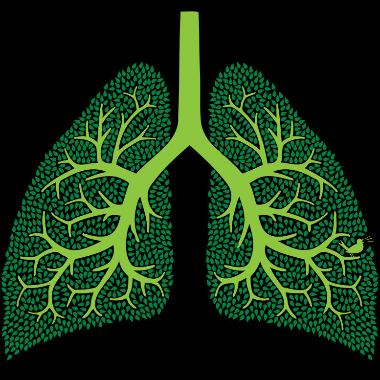 Weird Science Trees Are The Lungs Of Earth Official Kid's T-shirt ()