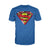 DC Comics Superman Logo Glass Official Men's T-shirt ()