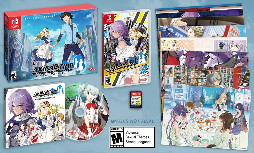 Akiba's Trip: Undead & Undressed Director's Cut Nintendo Switch