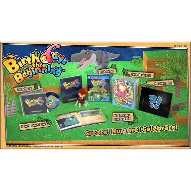 Birthdays the Beginning [Limited Edition] PlayStation 4