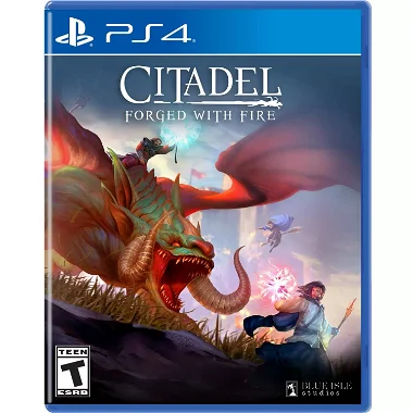 Citadel: Forged with Fire PlayStation 4