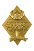 Power Rangers Medallion Limited Edition (gold plated)