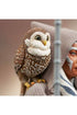 Star Wars Rebels Bust 1/6 Ahsoka Tano 15 cm