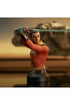 Star Wars Rebels Bust 1/6 Ezra Bridger 15 cm