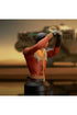 Star Wars Rebels Bust 1/6 Ezra Bridger 15 cm