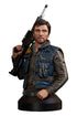 Star Wars Rogue One Bust 1/6 Cassian Andor 15 cm
