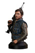 Star Wars Rogue One Bust 1/6 Cassian Andor 15 cm