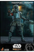 Star Wars The Mandalorian Action Figure 1/6 Transport Trooper 31 cm