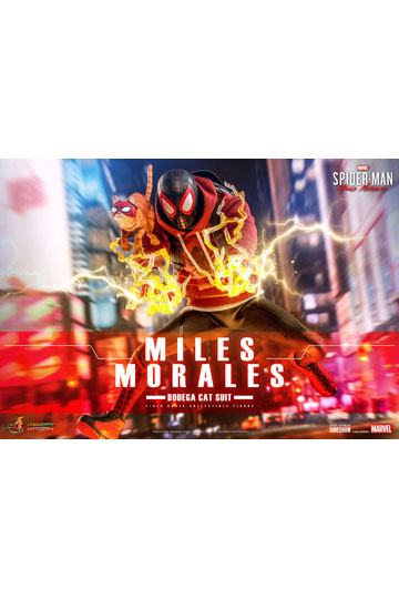 Spider-Man: Miles Morales Videogame Masterpiece Action Figure 1/6 Miles Morales Bodega Cat Suit 29cm