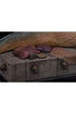 Star Wars Deluxe Art Scale Statue 1/10 Jabba The Hutt 23 cm