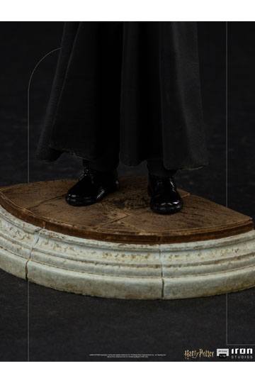 Harry Potter Art Scale Statue 1/10 Harry Potter 17 cm