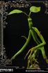 Fantastic Beasts Statue Pickett 27 cm