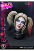 Batman Arkham City Statue 1/3 Harley Quinn Deluxe Bonus Version 58 cm
