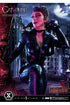 DC Comics Statue 1/3 Catwoman Deluxe Bonus Version Concept Design by Lee Bermejo 69 cm