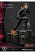DC Comics Statue 1/3 Catwoman Deluxe Bonus Version Concept Design by Lee Bermejo 69 cm