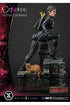 DC Comics Statue 1/3 Catwoman Deluxe Bonus Version Concept Design by Lee Bermejo 69 cm