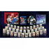 Fate/Extella Link [Premium Limited Edition] Playstation Vita