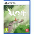 Hoa PlayStation 5