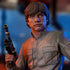 Star Wars Episode V Bust 1/6 Luke Skywalker 15 cm
