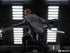 Star Wars The Mandalorian BDS Art Scale Statue 1/10 Moff Gideon 20 cm