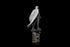 Moon Knight Art Scale Statue 1/10 Moon Knight 30 cm