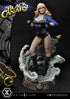DC Comics Statue 1/3 Black Canary 69 cm