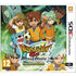 Inazuma Eleven Go: Chrono Stones: Thunderflash Nintendo 3DS
