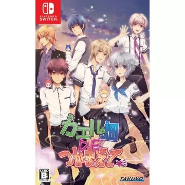 Kaeru Batake de Tsukamaete Nintendo Switch