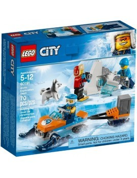 LEGO Arctic Exploration Team