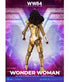 Wonder Woman 1984 Dynamic 8ction Heroes Action Figure 1/9 Wonder Woman 21 cm