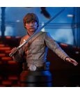Star Wars Episode V Bust 1/6 Luke Skywalker 15 cm