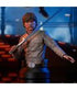 Star Wars Episode V Bust 1/6 Luke Skywalker 15 cm