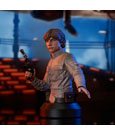 Star Wars Episode V Bust 1/6 Luke Skywalker 15 cm