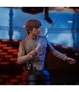Star Wars Episode V Bust 1/6 Luke Skywalker 15 cm