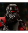 Star Wars: Obi-Wan Kenobi Premier Collection 1/7 Purge Trooper 25 cm
