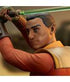 Star Wars Rebels Bust 1/6 Ezra Bridger 15 cm