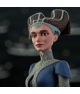 Star Wars The Clone Wars Bust 1/7 Padme Amidala 15 cm